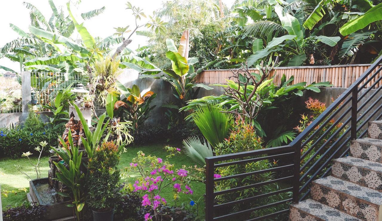 Pluto House Apartment Canggu  Bagian luar foto