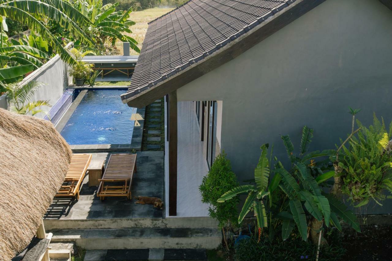 Pluto House Apartment Canggu  Bagian luar foto